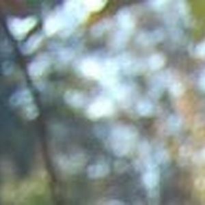 Meet your Posher, Mariana